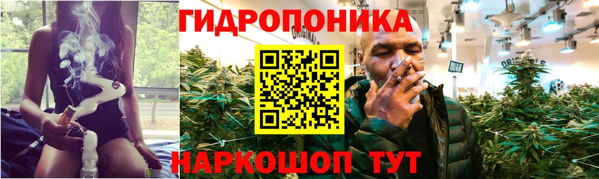 МАРИХУАНА тримм  Вход с VPN  Бошки марихуана Bruce Banner  Каннабис MAZAR  Бошки марихуана ГИДРОПОН  Тимашёвск 